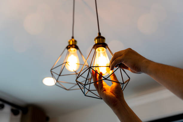Best Outdoor Lighting Installation  in Ponce Inlet, FL